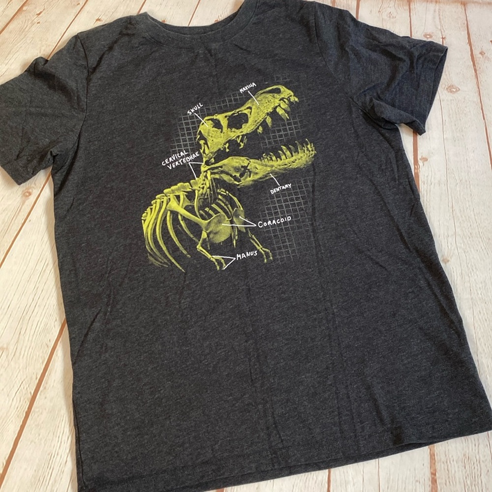 Cat & Jack Heather Ash Gray T-Rex Dinosaur Bone Name Fossil T-Shirt